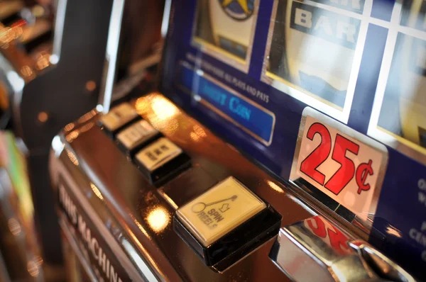 Account balance and bet history on nusacash